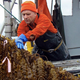 Image for article titled The Underwater Farms That Could Help Stop the Death of Our Oceans